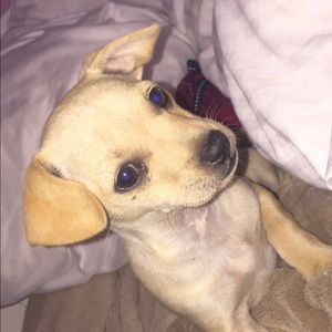 Meet your Posher, Evelyn